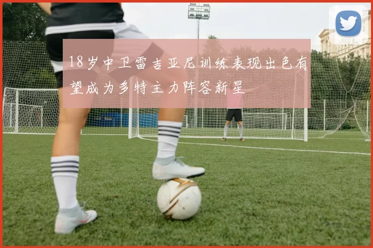 18岁中卫雷吉亚尼训练表现出色有望成为多特主力阵容新星